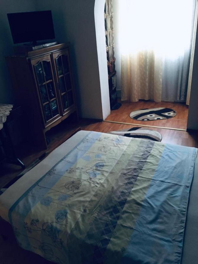 South Vibes Apartment Orsova Ngoại thất bức ảnh